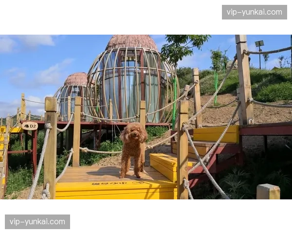 云端非编工作站集群常态化部署，体育制播重心向云端偏移